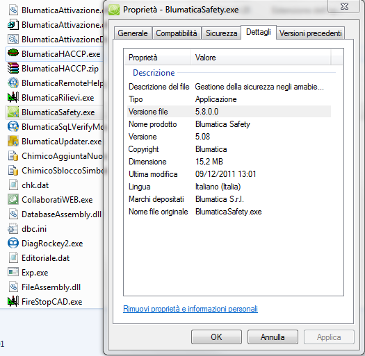 Proprietà file programma